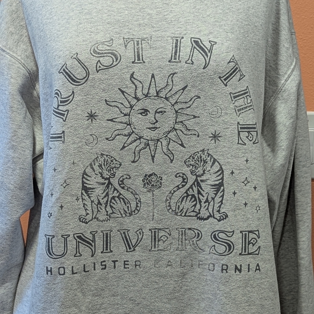 Hollister Whimsigoth M Gray Celestial Crew Sweatshirt Trust In The Universe - Picture 4 of 13